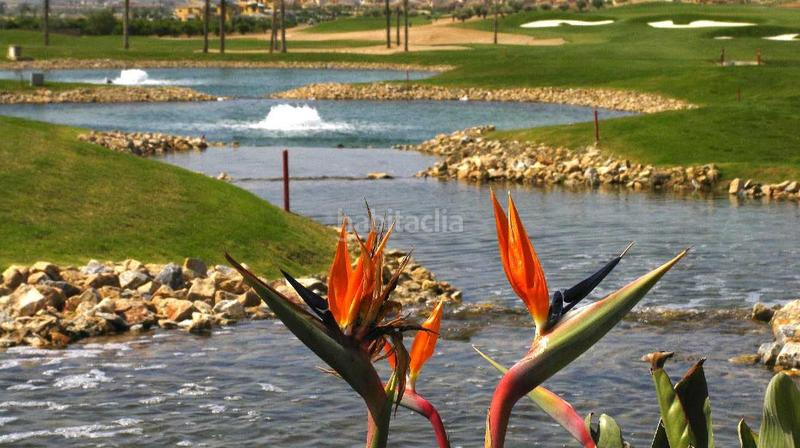 Foto 7ec3b3c8-9dba-49e0-9c8d-12335f9a2d8e. Piccolo appartamento con riscaldamento parcheggio piscina in Fuente Álamo de Murcia