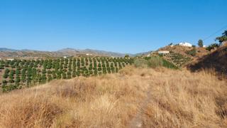 Finca rústica a Norte - Barrio del Pilar - El Reñidero. Se vende parcela rústica en las chozas de velez-málaga