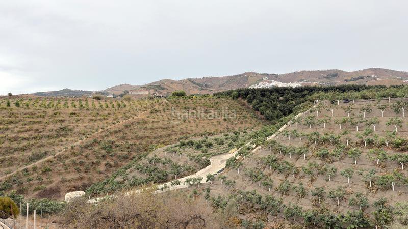 Foto a5fbbbbd-c817-4b4a-afa4-8ae485986ac1. Affitto casale con camino piscina in Benamocarra