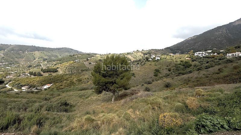 Foto 16a60b1d-73f8-4062-9221-1567b7b0fd27. Finca rústica a Frigiliana