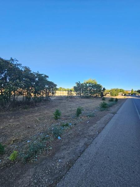 Foto bfce722b-fc6b-47a3-bc53-5afb625c456f. Terreny residencial a Ayuntamiento - Avenida Siglo XXI Azuqueca de Henares