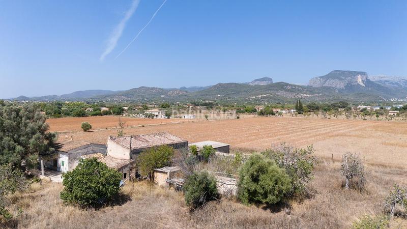 Foto 4cc4a630-999b-4906-a038-63e77e82f6c1. Mas dans Lloseta