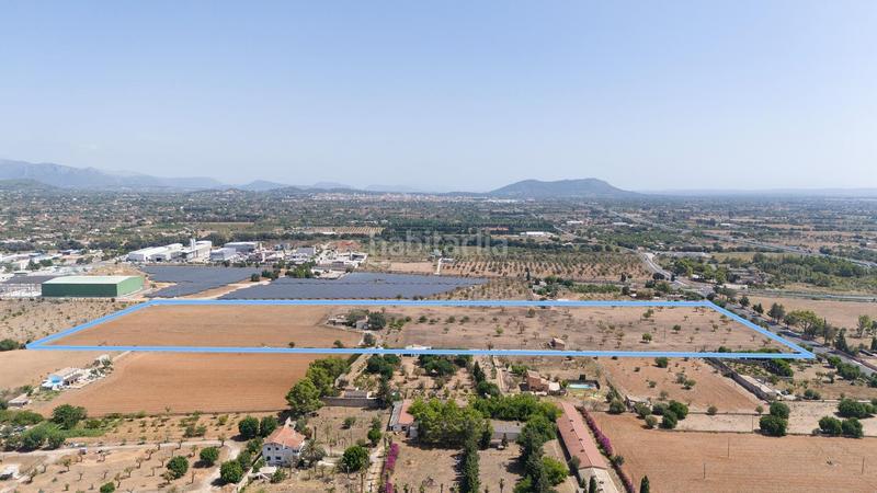 Foto 522cc554-85f2-4776-ab20-a4abf794aa8c. Mas dans Lloseta