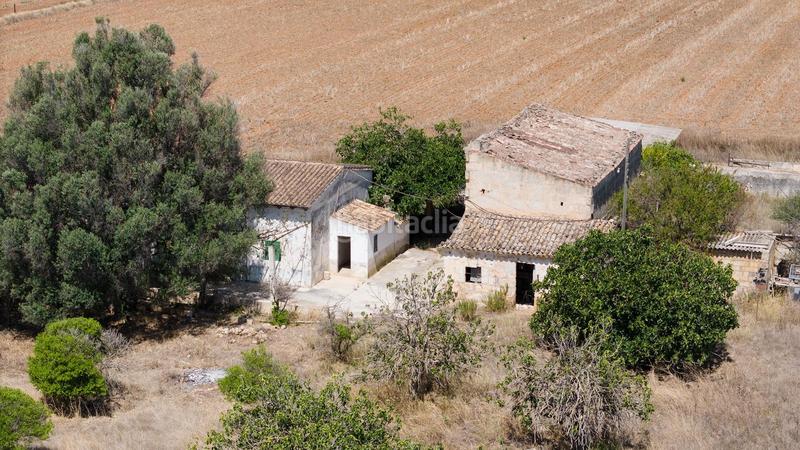 Foto 6b949994-e654-4dd0-8fe7-40d26aba6706. Mas dans Lloseta