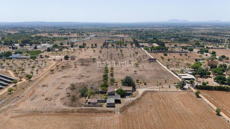 Foto 6df24336-42b3-4615-9933-44f1f27da354. Mas dans Lloseta