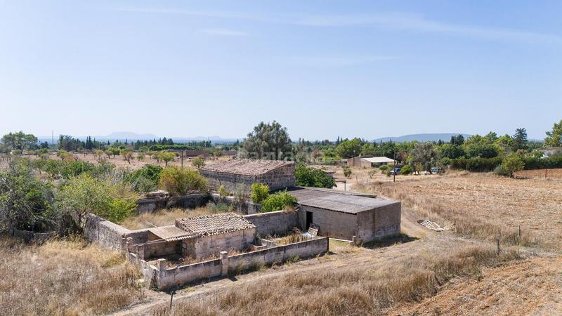 Foto 76cae5ce-9e0b-416b-b349-cd75d40b2b29. Mas dans Lloseta