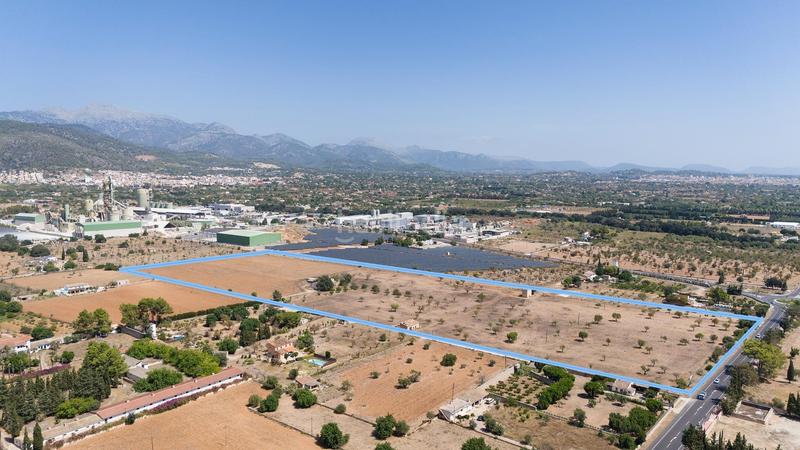 Foto b1136c69-d303-452a-9d23-576eefe593e5. Mas dans Lloseta