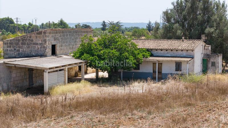 Foto b720edbb-0053-429f-bf63-8b44f85f2245. Mas dans Lloseta