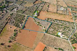 Rural plot in Ses Salines Poble. Terreno en ses salines el lugar perfecto para crear tu hogar en