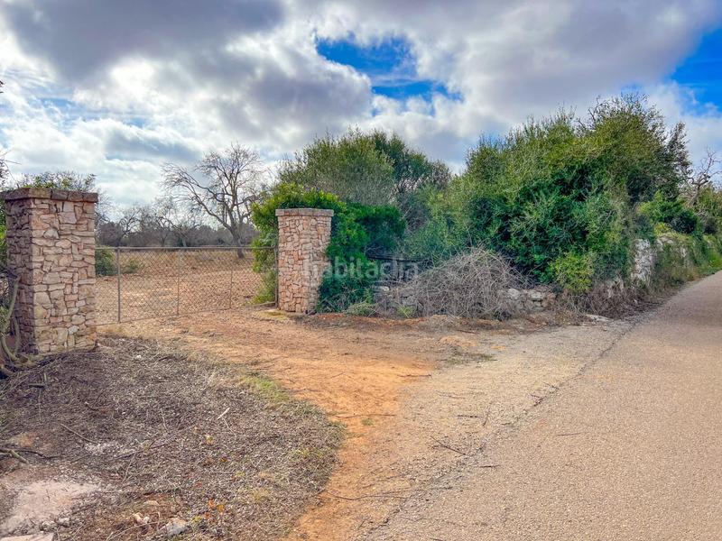 Foto ea1e520f-e7b0-4c75-af54-e0d55c824893. Chalet proyecto chalet independiente con piscina en cala brafi en Felanitx
