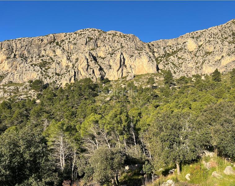 Foto 0148d065-527a-4caf-bbd6-f87f90457071. Masia amb calefacció piscina a Puigpunyent