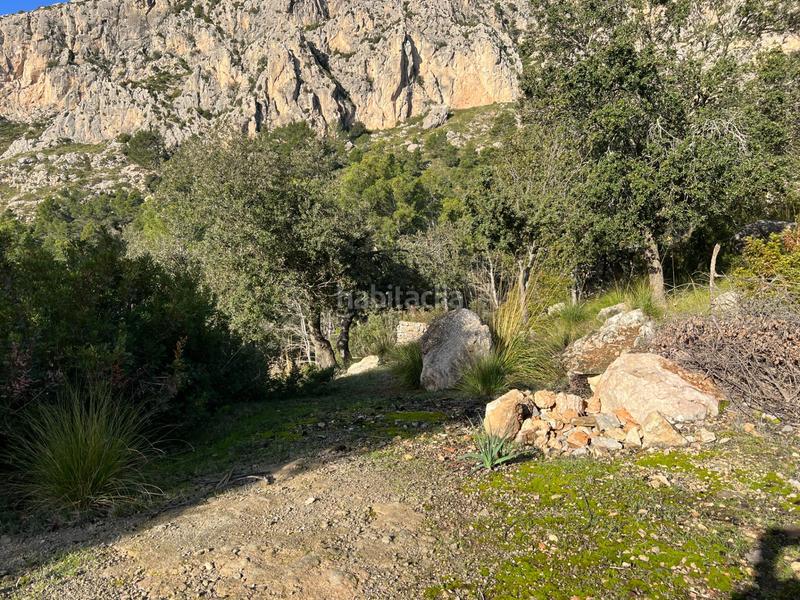 Foto 6a1cf1cf-7993-44fc-9468-ee030d660d97. Masia amb calefacció piscina a Puigpunyent