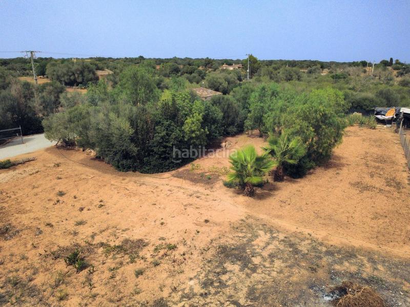 Foto c77d73ce-ae7f-4877-8da1-79c40150daa9. Masía finca rústica en Campos