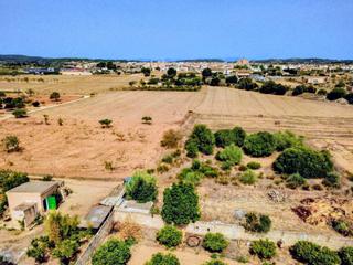 Masia a Sa Casa Blanca. Finca rústica en porreres
