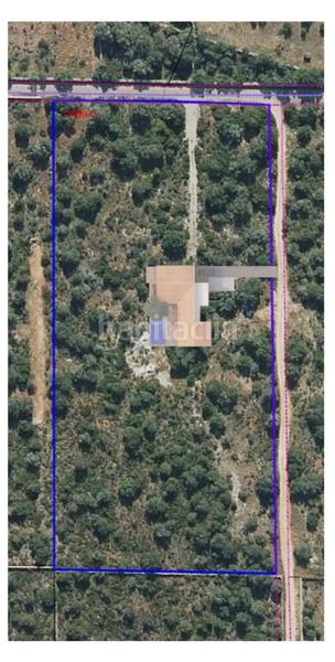 Foto a3cff8aa-3d22-44b4-aa5a-3a9cae078951. Terreny residencial a Ses Salines poble Ses Salines