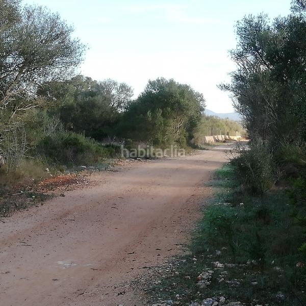 Foto ca721ba0-a261-413f-b64f-4ce2572c61c2. Terreny residencial a Ses Salines poble Ses Salines