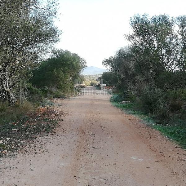 Foto cc624538-e12a-4378-8748-244969606338. Terreny residencial a Ses Salines poble Ses Salines