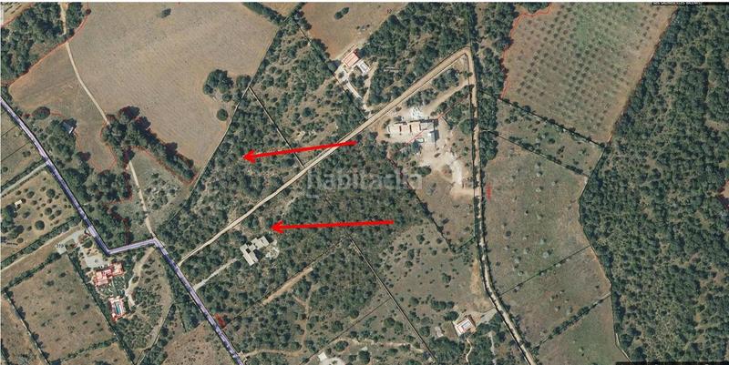 Foto dbc69504-b6d1-48ee-bfd5-28fab1ba5c50. Terreny residencial a Ses Salines poble Ses Salines