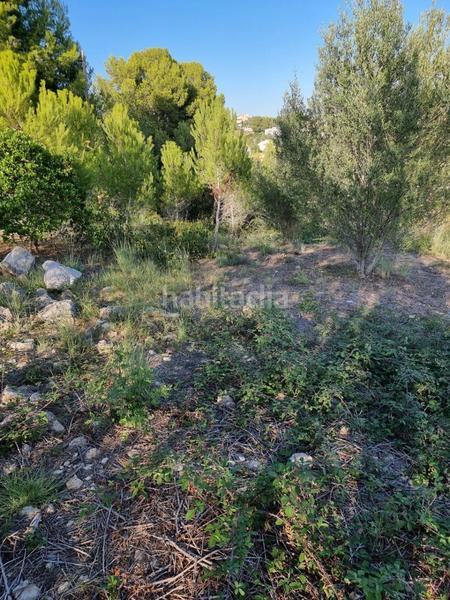 Foto cf37c934-95c9-444a-9399-5e05010656db. Terrain résidentiel dans Segur de dalt Segur de Calafell