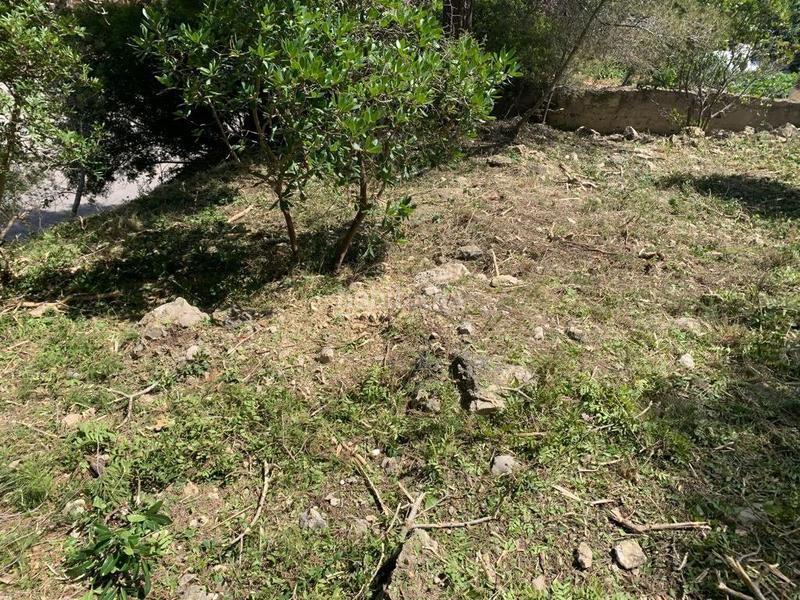 Foto 2731c4a9-11d7-4675-a3b0-6e8ec3941af7. Terreno residenziale in Segur de dalt Segur de Calafell