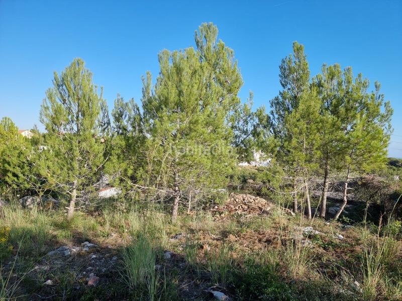 Foto 835a786d-d6b8-4192-9dd9-035efd5378b0. Wohngrundstück in Segur de dalt Segur de Calafell