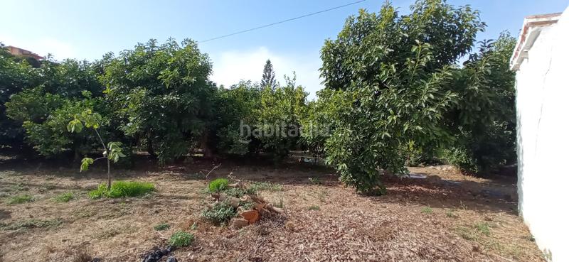 Foto 0f261580-fa79-4d8a-9b7e-4ab6d6988393. Masía en plaza principe de españa 1 increíble finca rústica en Coín