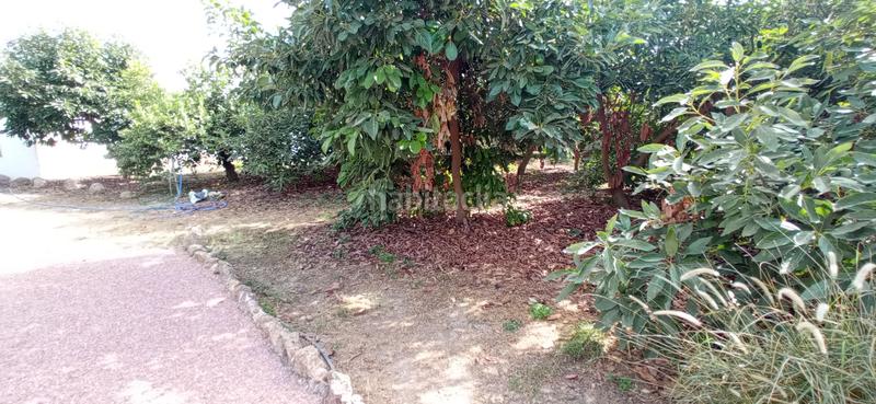 Foto 5b030ad8-c490-4808-a929-c22ca7e1418a. Masía en plaza principe de españa 1 increíble finca rústica en Coín