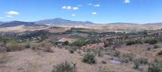 Proprit en Plaza principe de espaa 5. Finca con pozo propio en con