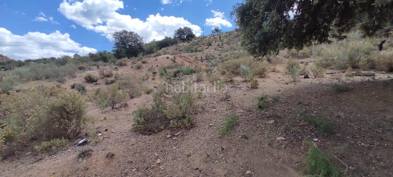 Foto 454e129a-9bbc-4f56-a0f9-bb6498c01b9f. Fondo rustico in plaza principe de españa 5 in Coín