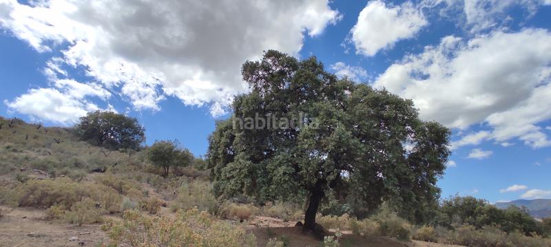 Foto 66aabbc0-9b82-480e-be6d-32898796a88f. Fondo rustico in plaza principe de españa 5 in Coín