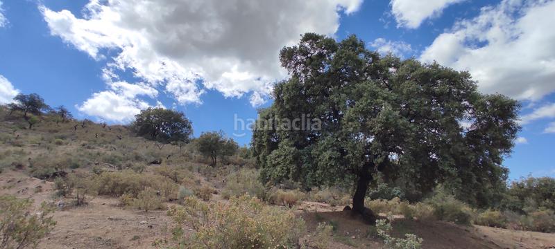 Foto 7888deb0-18b0-4ba8-a6d2-772a6e59aa8c. Fondo rustico in plaza principe de españa 5 in Coín