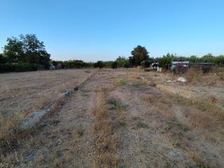 Finca rstica en Plaza principe de espaa 5. Finca rstica llana con agua y electricidad en con