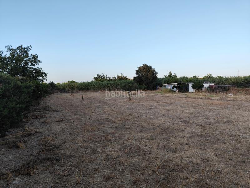 Foto 993258eb-d62e-4c40-8f50-80f98954a939. Finca rústica a plaza principe de españa 5 a Coín