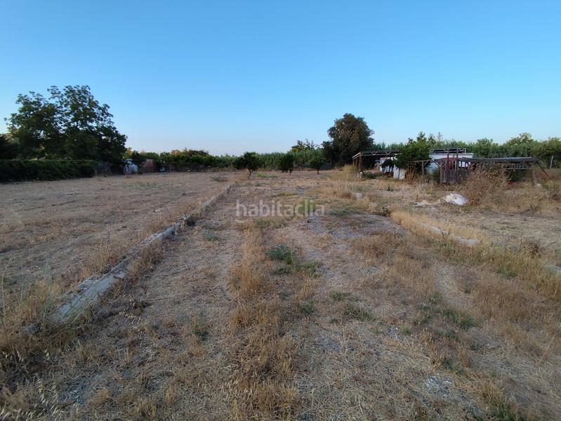 Foto ac836ada-35a2-4ce5-82f2-8b0663ceeed1. Finca rústica a plaza principe de españa 5 a Coín