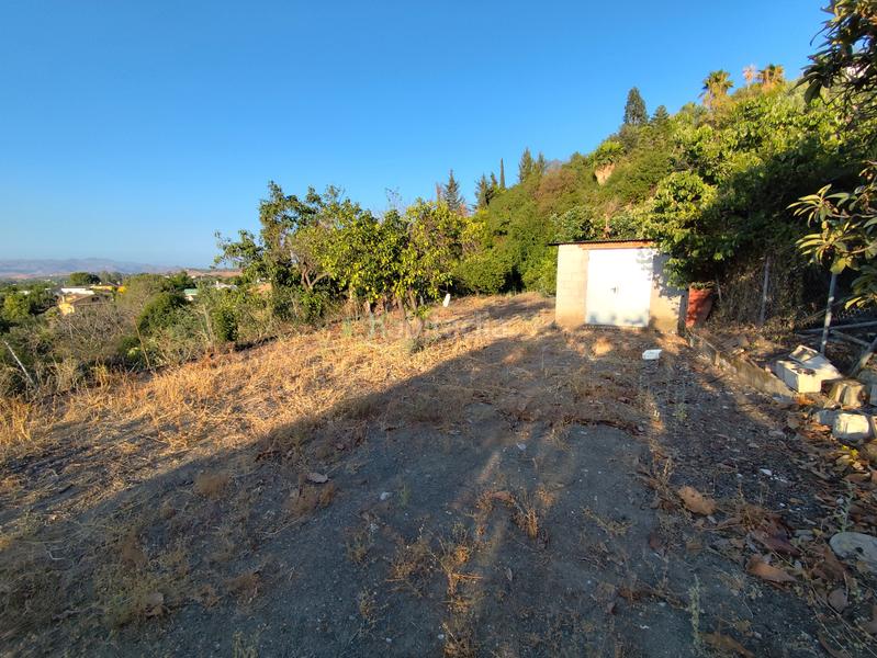 Foto cc7c8322-f6e1-4dcd-bd50-e80cbd233ffa. Finca rústica a plaza principe de españa 1 a Coín