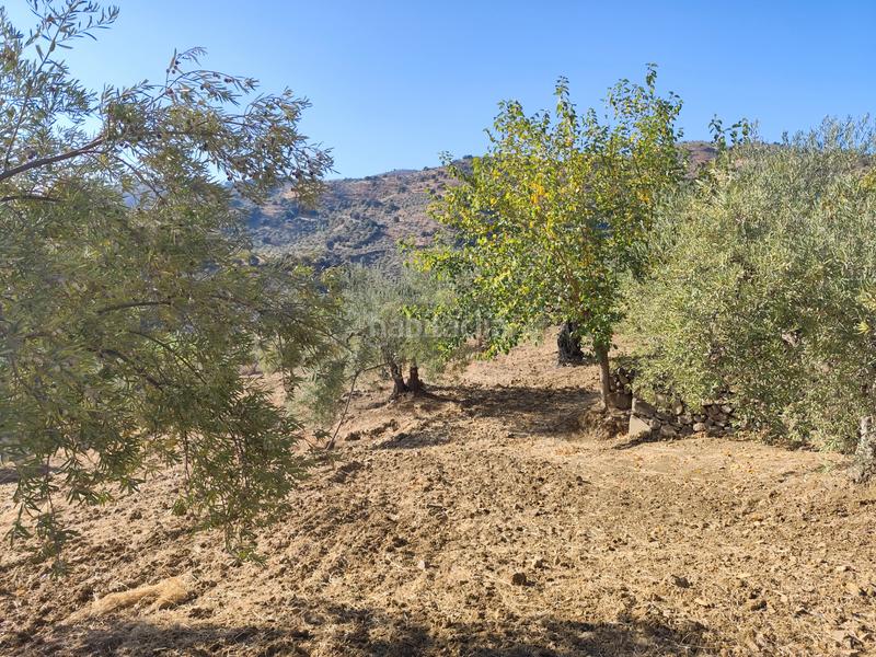 Foto 8b5382c9-b911-4159-b63b-eac315b63ce9. Finca rústica en n/a finca rústica con agua potable en Tolox