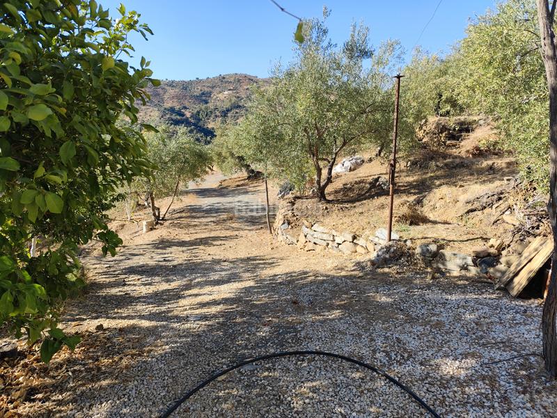 Foto a3e27033-f114-45fa-942a-c70131e119fb. Finca rústica en n/a finca rústica con agua potable en Tolox