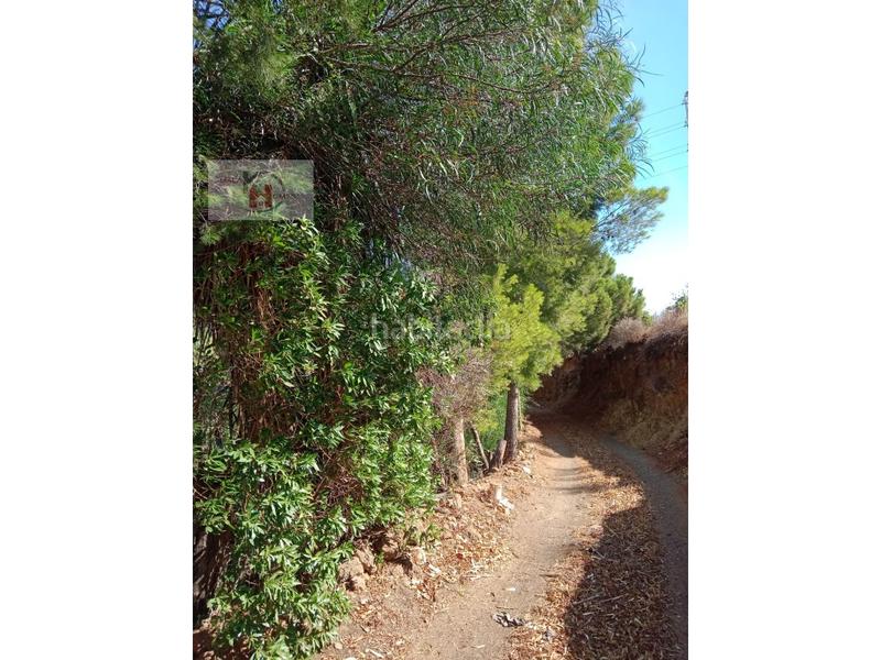 Foto df7ad25b-59a1-46c5-9305-8f56479bf0ff. Masia a poligono 22 paraje 216 paredones 366-p a Álora