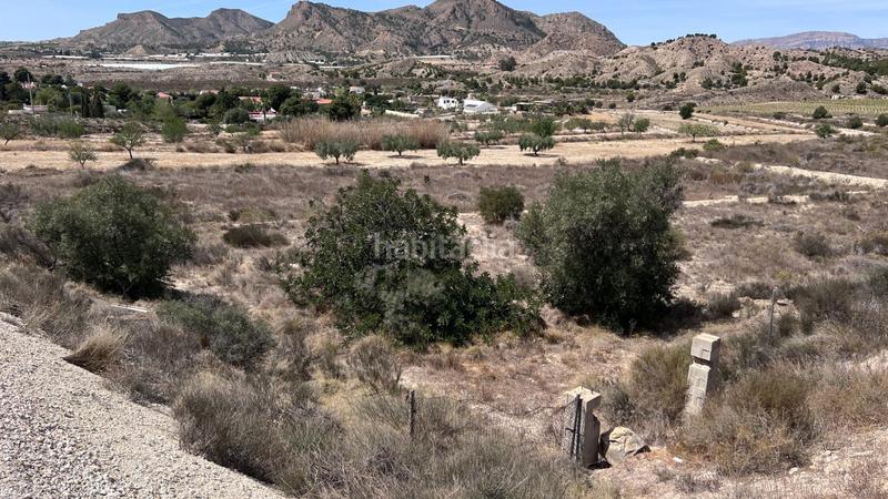 Foto 7e967b75-fa33-4948-ab2f-c7035d5fe66c. Fondo rustico in El Verdegàs Alicante