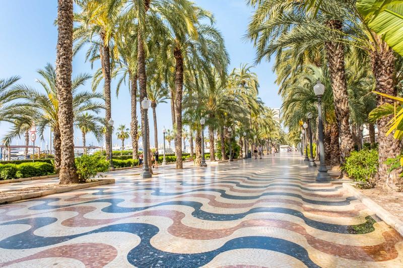 Foto d7ec83cb-e144-4234-8917-5837cd284c5f. Rent flat in Barrio del Centro Alicante