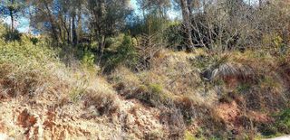 Solar urbano en Carrer ronda del bosc. Parcela grande soleada