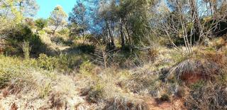 Terreno residencial en Rellinars