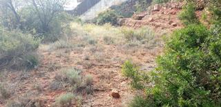 Residential Plot in Rellinars