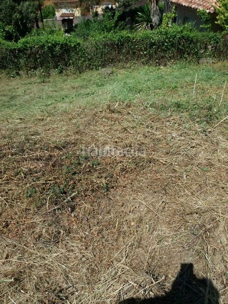 Foto 9c2b8dd1-ce87-4ec8-a4a4-a80af34ffdd2. Terreno residencial en Rellinars