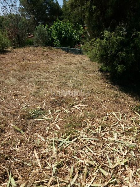 Foto e91009e4-2a03-49b5-b1bd-5cfcc87fd9ab. Terreno residencial en Rellinars