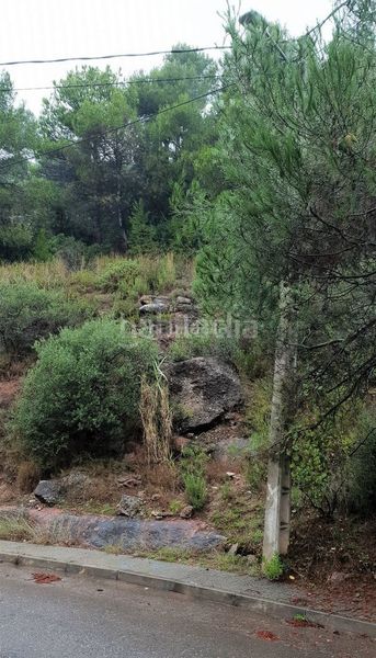 Foto 54966079-1b83-49e2-b10b-3ed4020e4182. Terreno residencial parcella edificable de 610 m2. en Rellinars