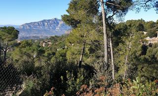 Terrain résidentiel  Carrer alzines. Parcella edificable de 2.900 m2.