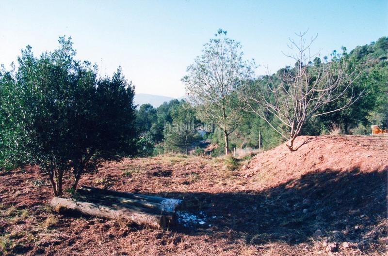 Foto 0f88da8a-7f69-4f69-a784-f4dc9159e48d. Wohngrundstück in Rellinars