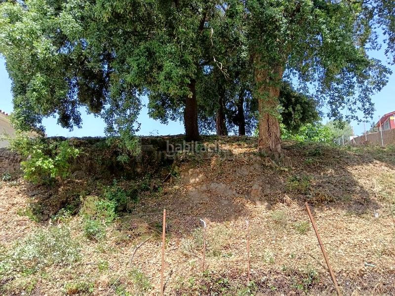 Foto 1bc917f8-623c-4208-bba1-a4a256712d62. Terreny residencial a Can Massuet del Far Dosrius