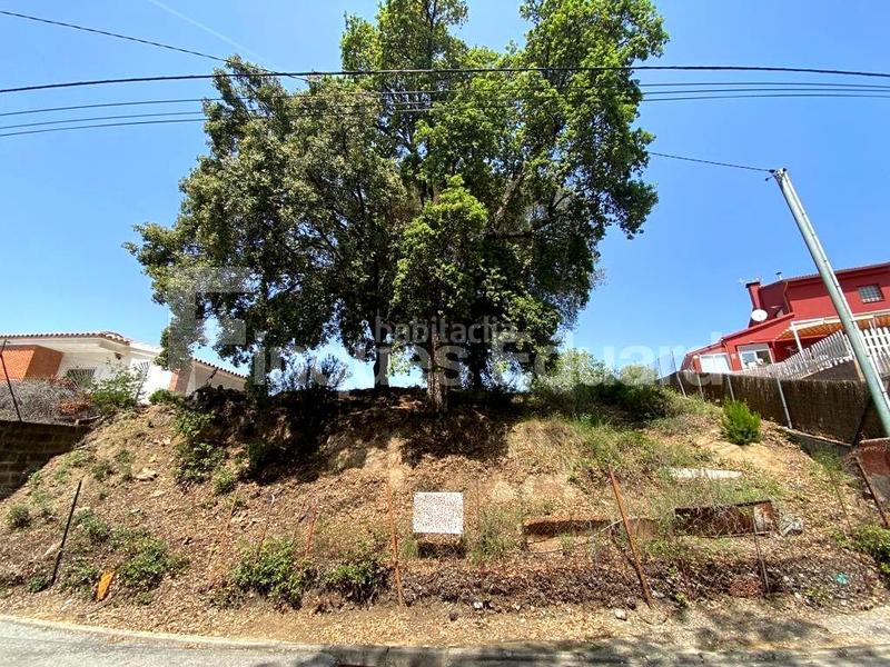 Foto 730f7e71-11c3-4f68-95f0-5bfc142d2079. Terreny residencial a Can Massuet del Far Dosrius